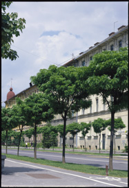 Ljubljana - Drevored na Prešernovi cesti