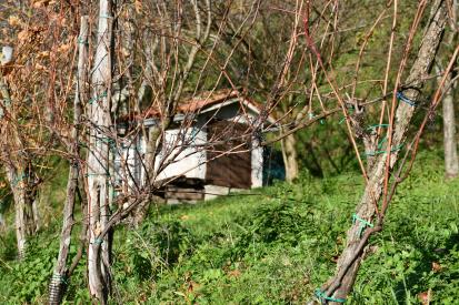 Kambreško - Nova Paulnova sušilnica