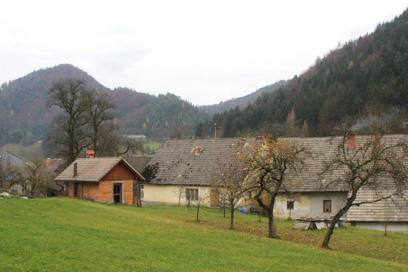 Buč - Vaško jedro