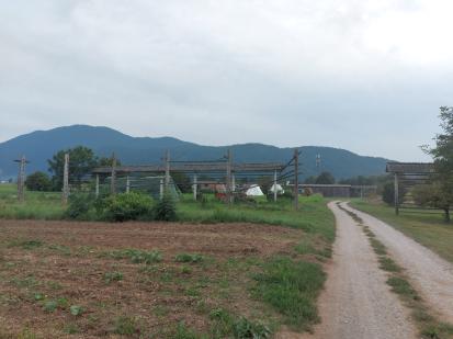 Matena - Ambient kozolcev in vaškega kolovoza