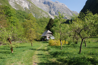 Bavšica - Hiša Bavšica 19
