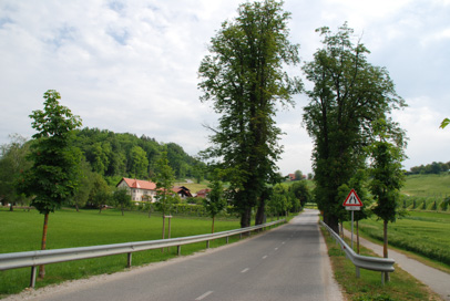 Ponikva - Kostanjev drevored