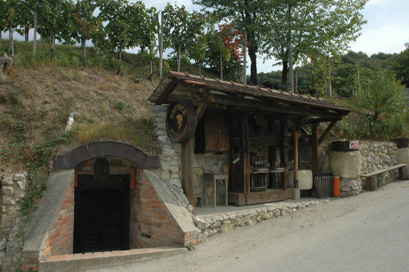 Brezovica na Bizeljskem - Repnica pri hiši Brezovica 32