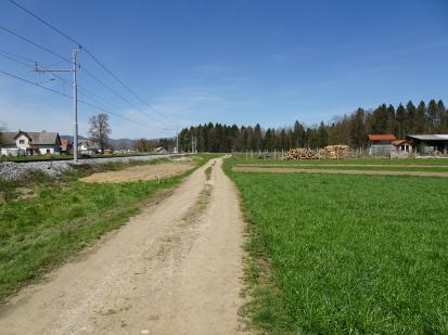 Godešič - Arheološko najdišče Podgone