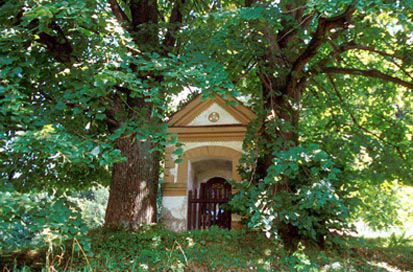 Podgorje - Radoslovnikova kapelica