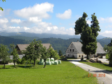Trčkov Grič - Trčkova domačija
