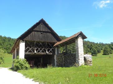 Prezid - Kozolec pri hiši Prezid 4