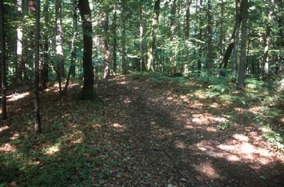 Bukovec - Prazgodovinsko gomilno grobišče II
