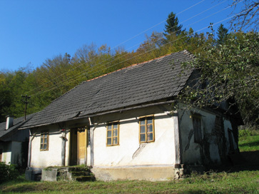 Dolenja vas pri Mirni Peči - Domačija Dolenja vas 1