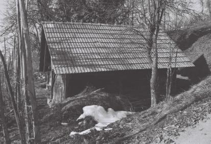 Golobinjek - Slugov hram