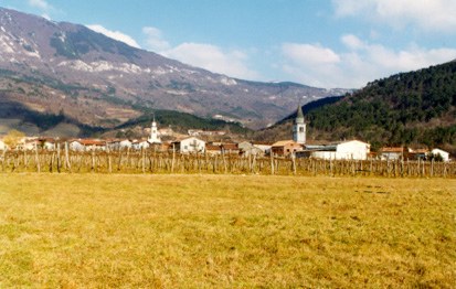 Vrhpolje pri Vipavi - Vas