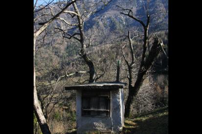 Kokra - Harišova sušilnica za sadje