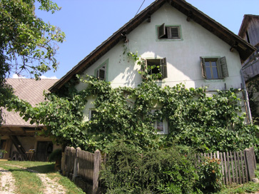 Bodešče - Domačija Bodešče 10