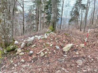 Zapuže pri Ribnici - Gradišče Sv. Ana