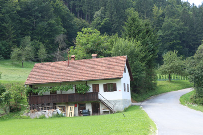 Vaseno - Kajža Vaseno 5