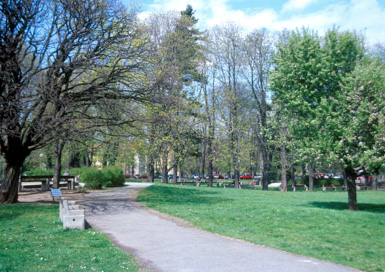Maribor - Magdalenski park