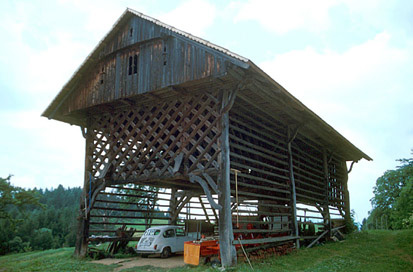 Golavabuka - Lešnikov kozolec