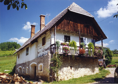 Železniki pri Drašičih - Hiša Železniki 10