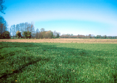 Cven - Gomilno grobišče Frajščina