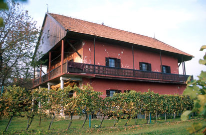 Kapelski Vrh - Zidanica Kapelski Vrh 103