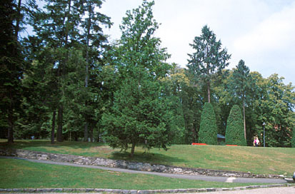 Radenci - Zdraviliški park