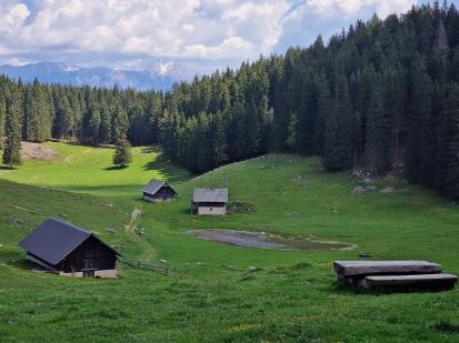 Pokljuka - Planina Kranjska dolina