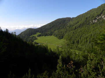 Pokljuka - Planina Konjščica