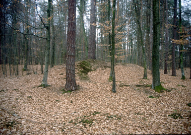 Gornji Ivanjci - Gomila I