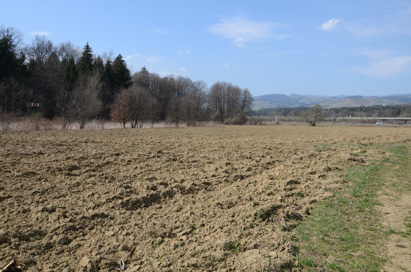 Spodnja Nova vas - Villa rustica