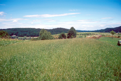 Dolena - Grad Dobrava