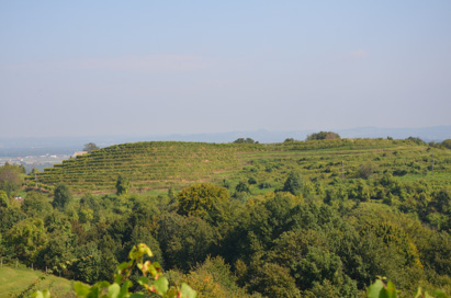 Dravinjski Vrh - Grad Dranek