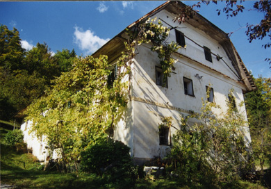 Florjan nad Zmincem - Hiša Florjan nad Zmincem 4