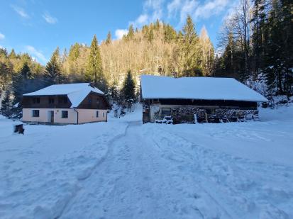Planina pod Golico - Domačija Planina pod Golico 40