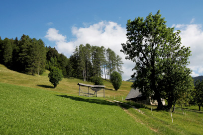 Plavški Rovt - Staja in kozolec