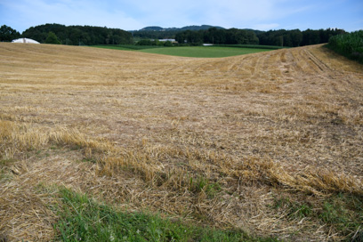 Otočec - Arheološko najdišče Prapreče