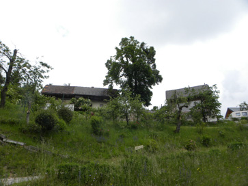 Logatec - Domačija Blekova vas 34