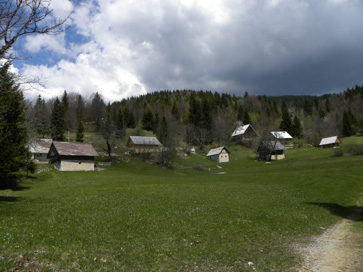 Pokljuka - Planina na Šehu