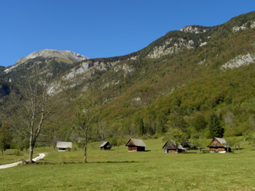 Stara Fužina - Planina Voje