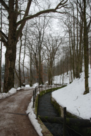 Idrija - Dobov drevored ob Rakah