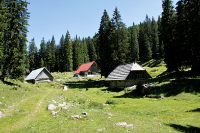 Nemški Rovt - Planina Pečana