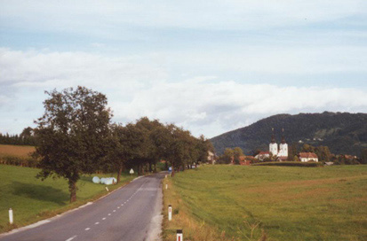 Moravče - Drevored