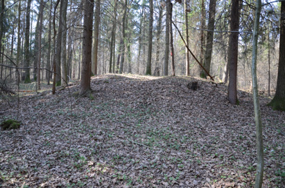 Spodnja Polskava - Gomilno grobišče Velenik