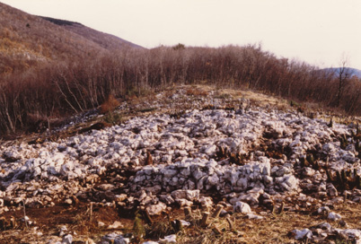 Klanec pri Kozini - Arheološko najdišče Brgodec