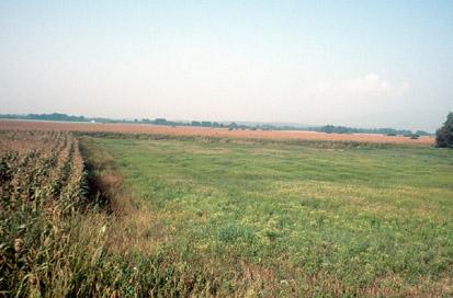 Spodnja Gorica - Arheološko najdišče Cediljeki