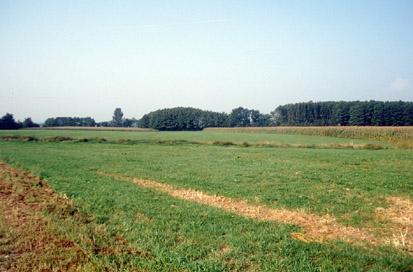 Spodnja Gorica - Arheološko najdišče Gmajna