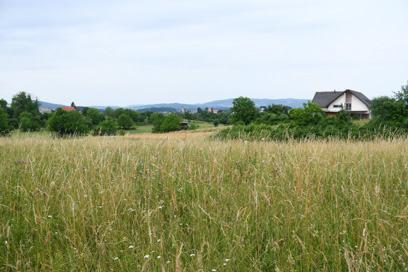 Novo mesto - Arheološko najdišče Gotna vas