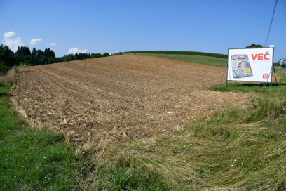 Novo mesto - Arheološko območje Žabja vas