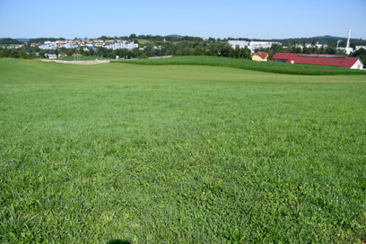 Novo mesto - Arheološko območje Graben