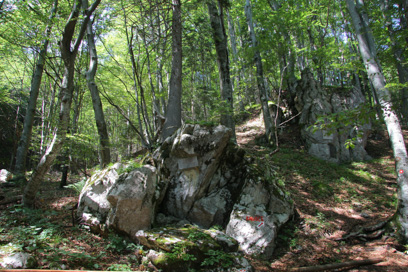 Bašelj - Spominsko znamenje kurirski postaji G-19