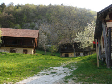 Lipje - Domačija Lipje 32